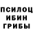 Псилоцибиновые грибы прущие грибы Aleksei G.